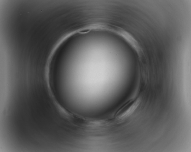 X0000091471438200709241257