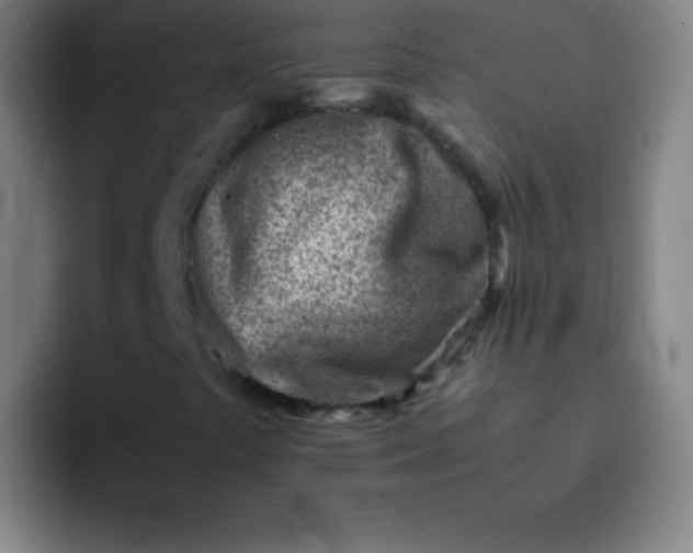 X0000091471441200709241257