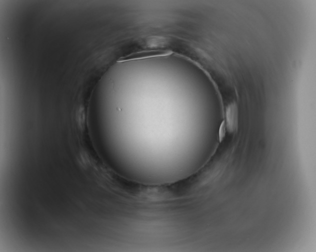 X0000091471443200709241257