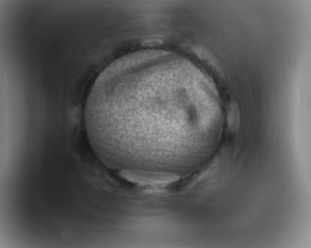 X0000091471445200709241257