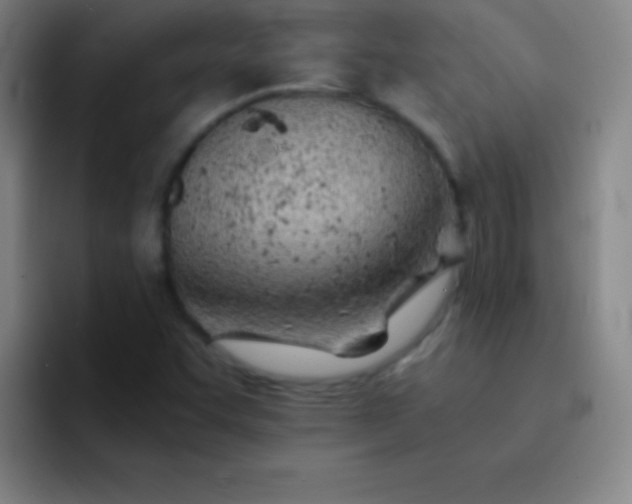 X0000091471455200709241257