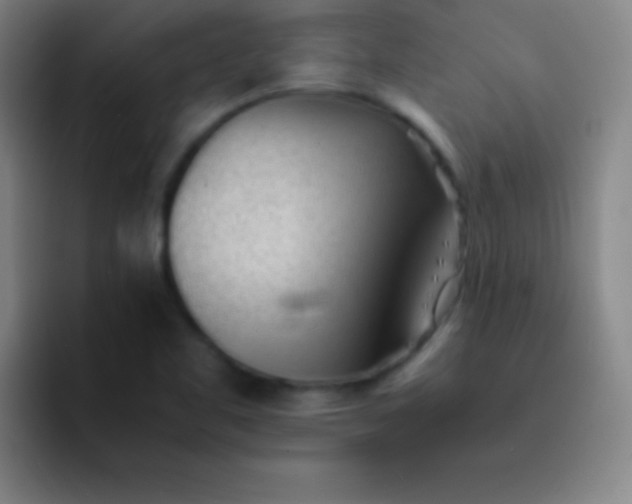 X0000091471461200709241257