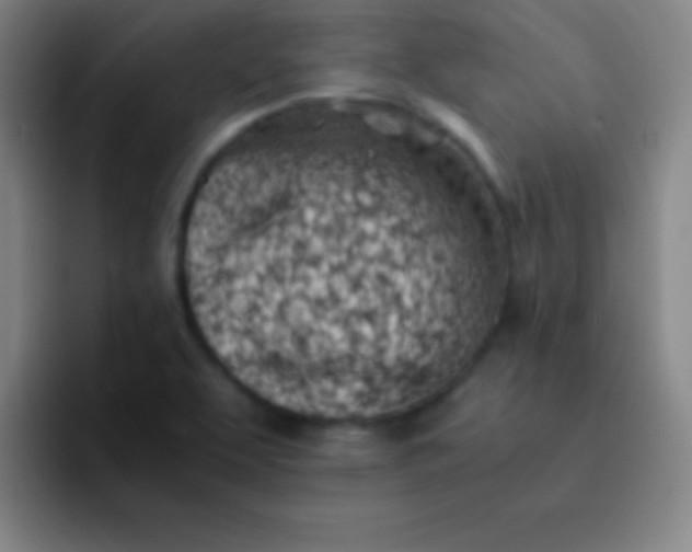 X0000091471463200709241257