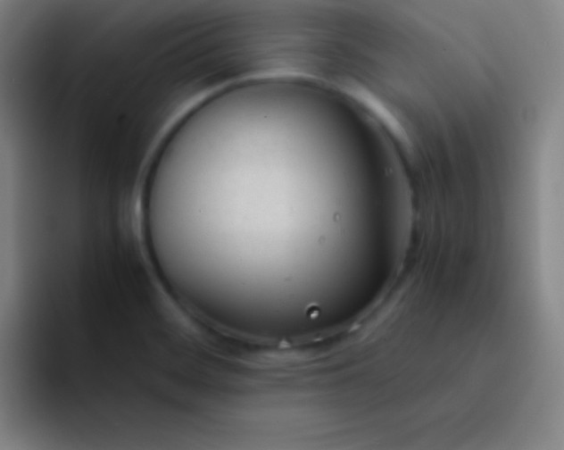 X0000091471468200709241256