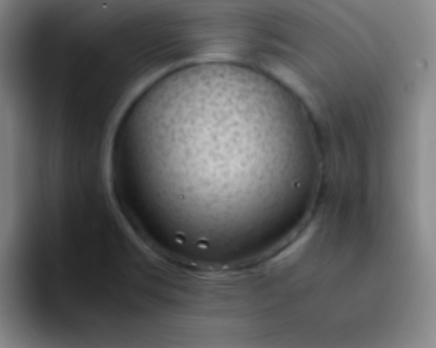 X0000091471469200709241256