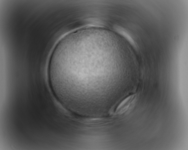 X0000091471471200709241256