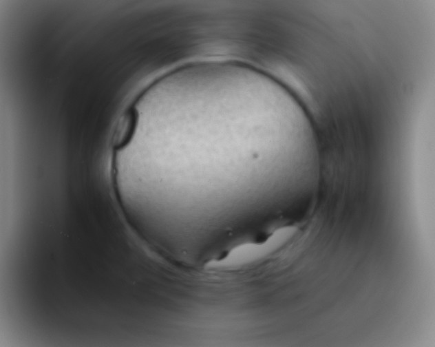 X0000091471472200709241256