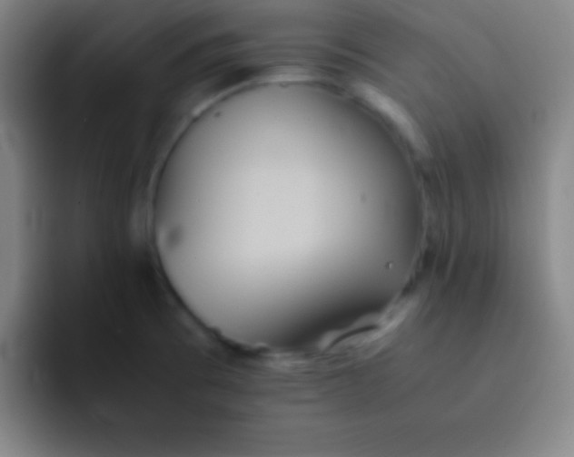 X0000091471473200709241256