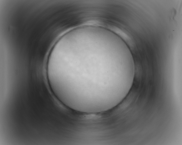 X0000091471478200709241256