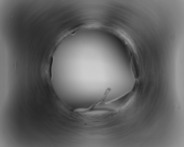 X0000091471481200709241256