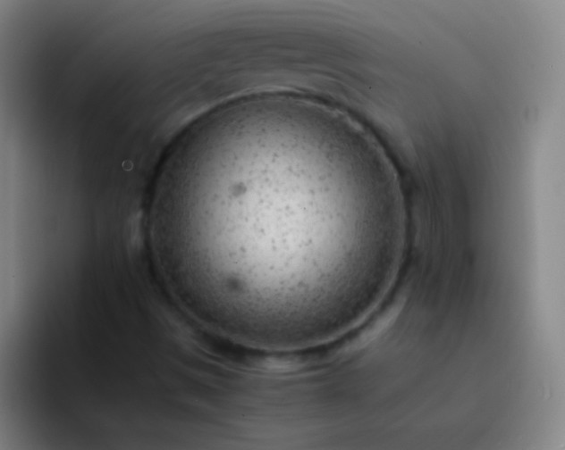 X0000091471497200709241256