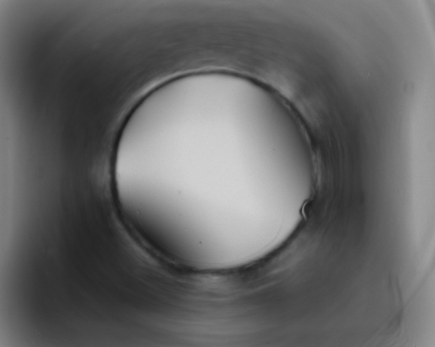 X0000091471500200709241256