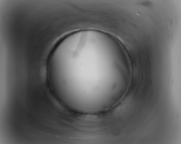 X0000091471503200709241256