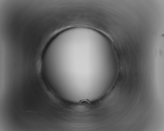 X0000091471507200709241256