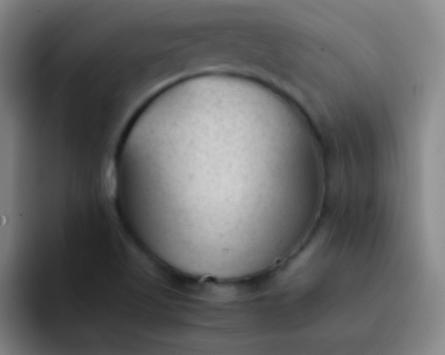 X0000091471509200709241256