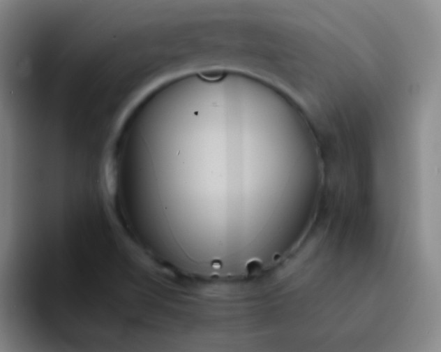 X0000091471510200709241256