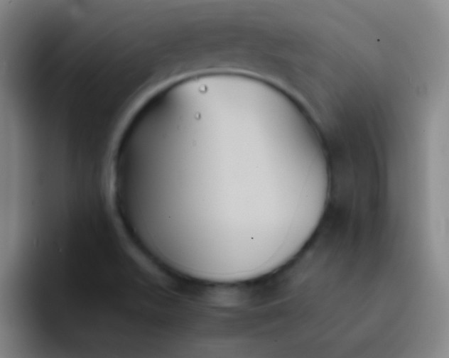 X0000091471511200709241256