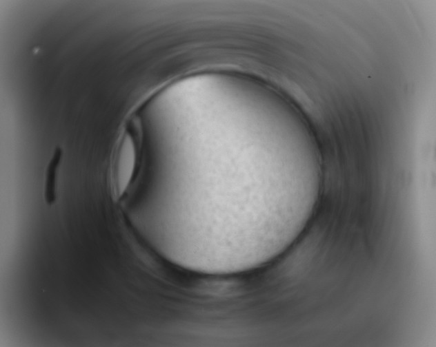 X0000091471513200709241256