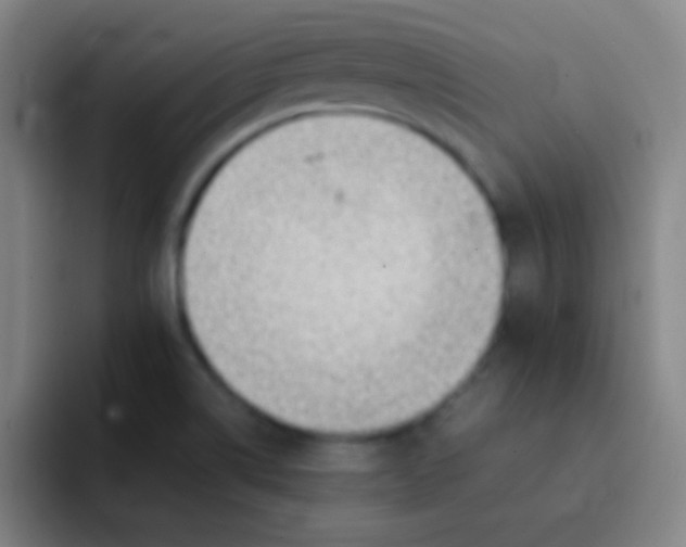 X0000091471514200709241256