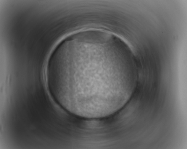 X0000091471515200709241256