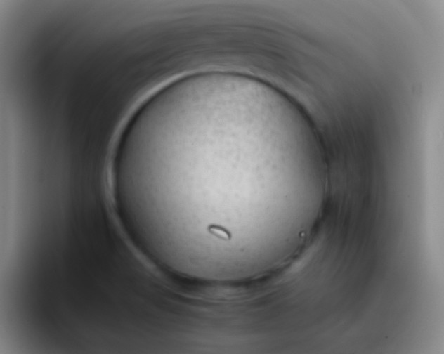 X0000091471517200709241256