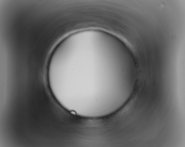 X0000091471518200709241256