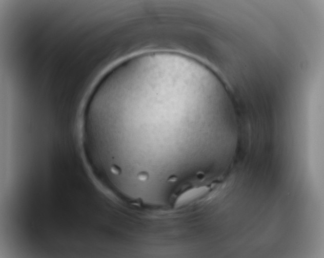 X0000091471519200709241256