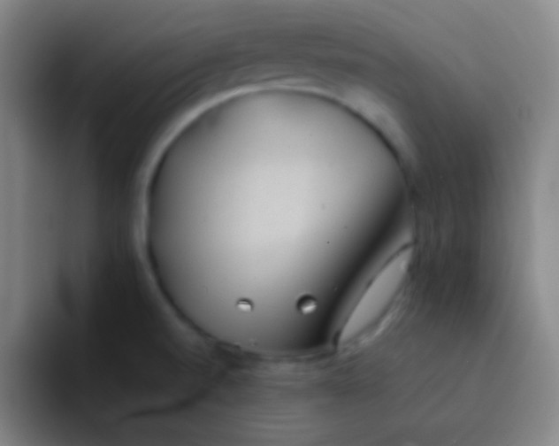 X0000091471520200709241256