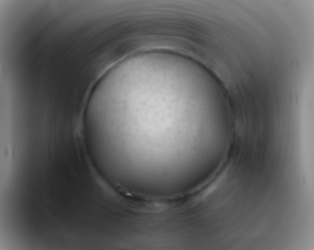 X0000091471521200709241256