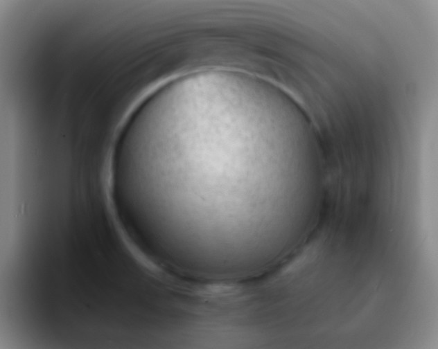 X0000091471523200709241256