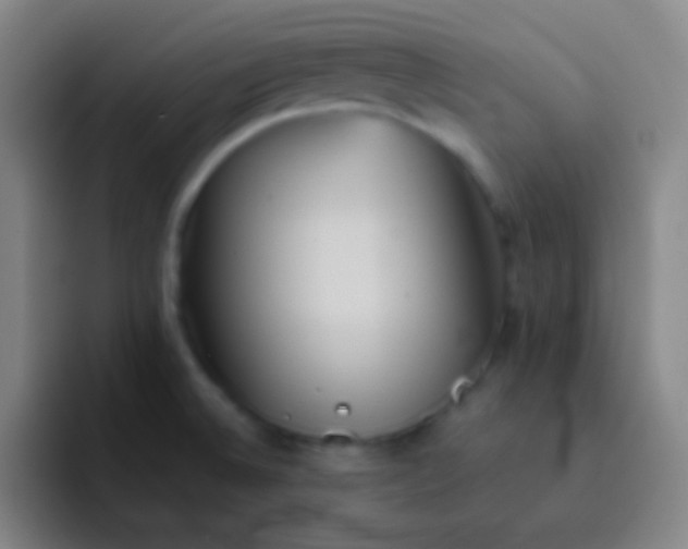 X0000091471524200709241256