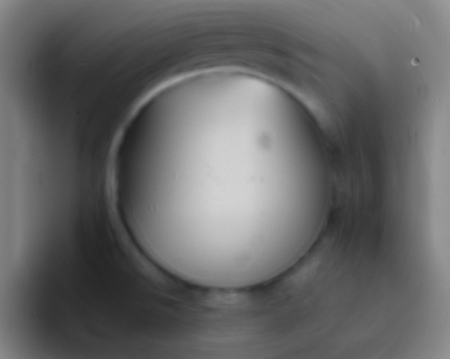 X0000091471526200709241256