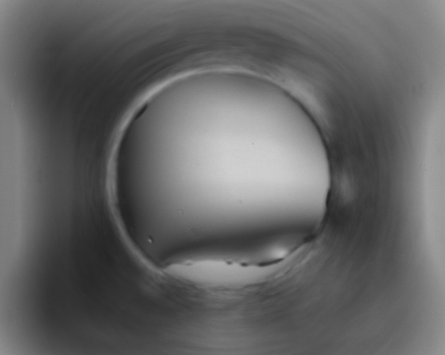 X0000091471528200709241256