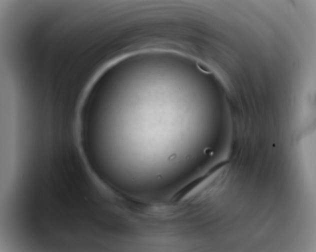 X0000091471531200709241256