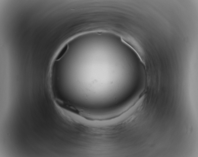 X0000091471532200709241256