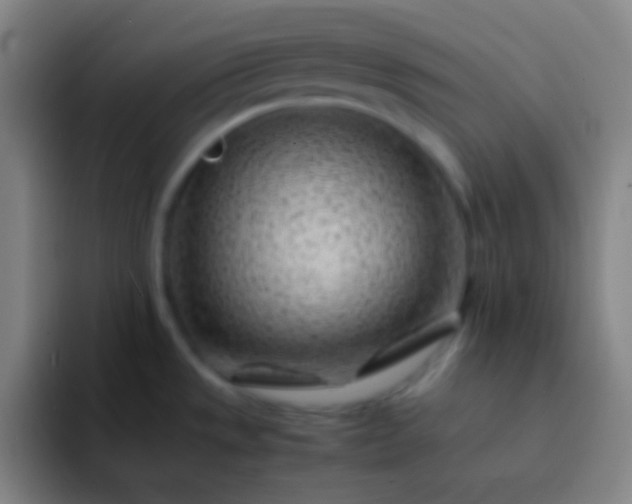 X0000091471533200709241256