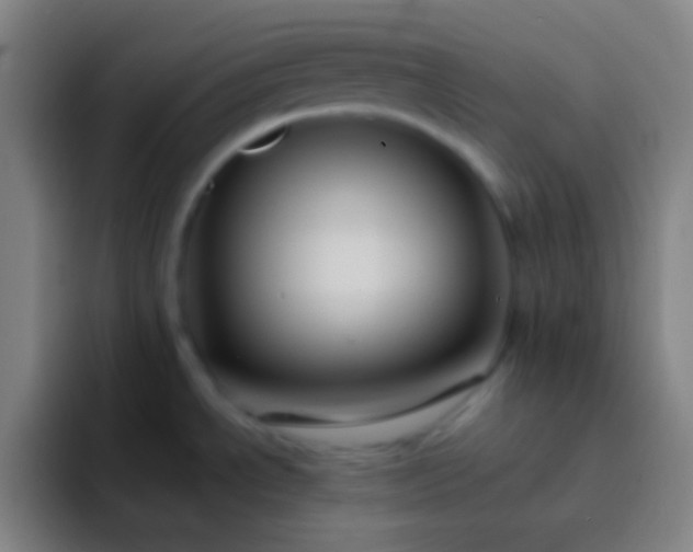 X0000091471534200709241256