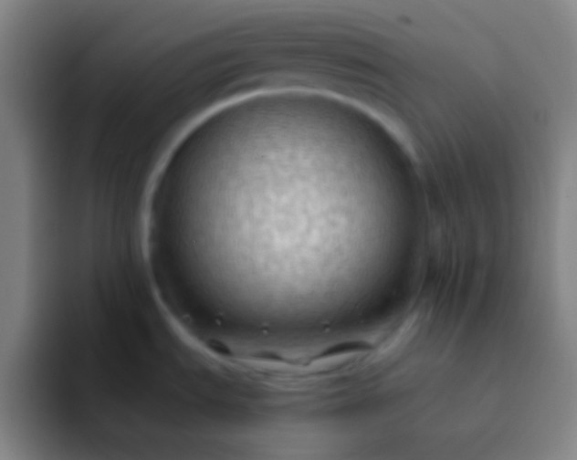 X0000091471535200709241256