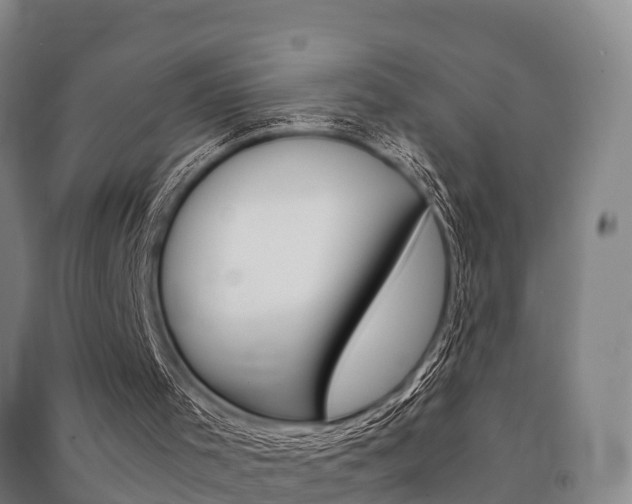 X0000091480001200708161157