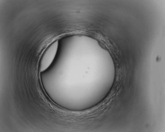 X0000091480002200708161157