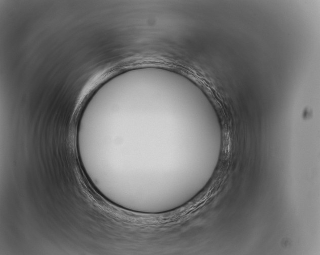 X0000091480004200708161157