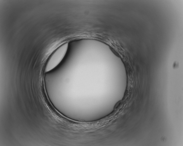 X0000091480005200708161157