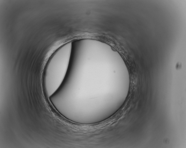 X0000091480006200708161157