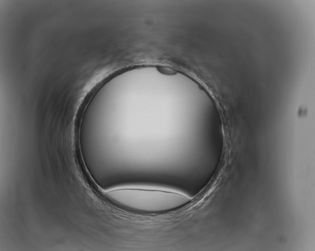 X0000091480008200708161157