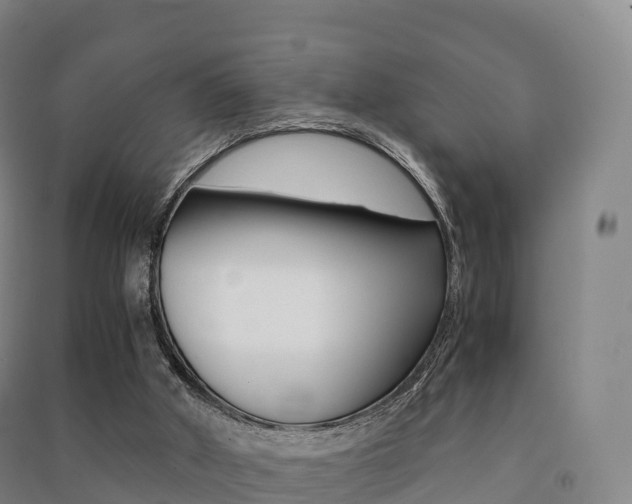 X0000091480010200708161157