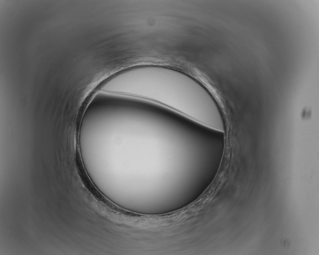 X0000091480011200708161157