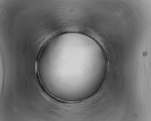 X0000091480013200708161157