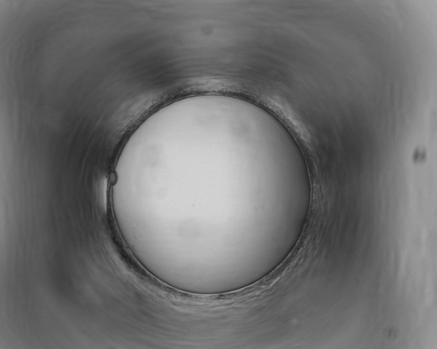 X0000091480014200708161157