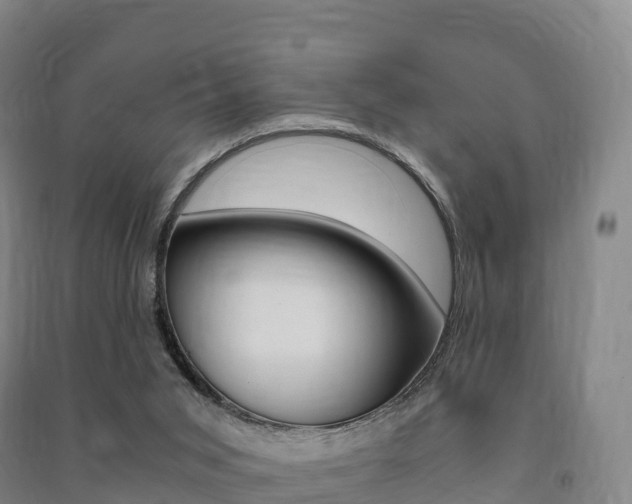 X0000091480015200708161157
