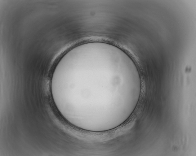 X0000091480016200708161157